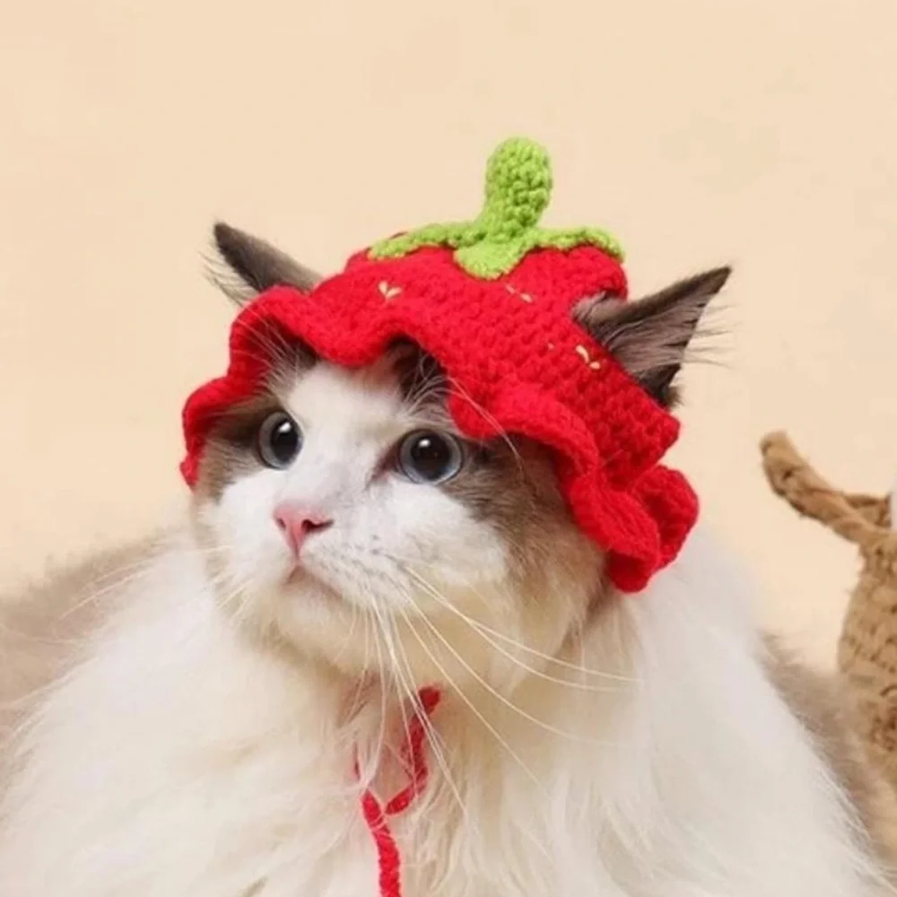 NWT Crochet Strawberry Pet Hat